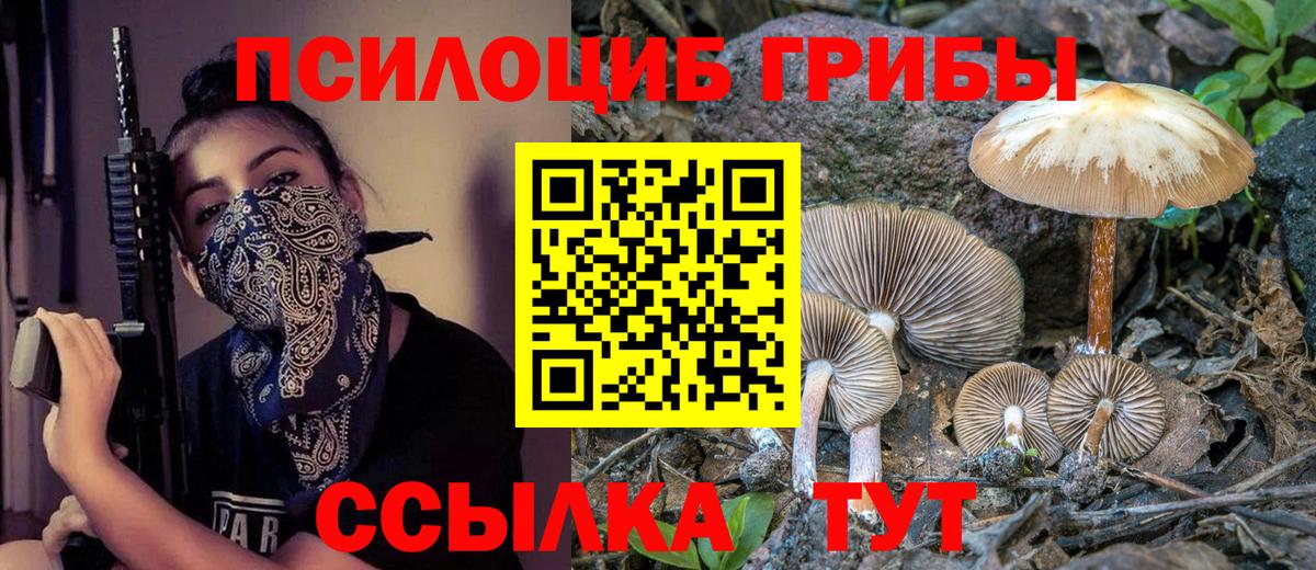 Городец  Псилоцибиновые грибы GOLDEN TEACHER  где продают наркотики  Вход с VPN 